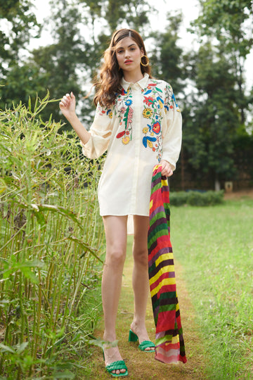 Women's Office wear Multicolor Embroidered Shirt Dress